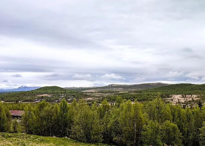Hytta Idyll Dagali